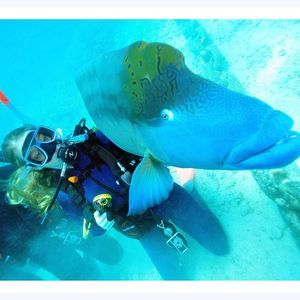 Meet your Posher, Baria